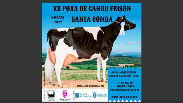 El libro de la subasta de este domingo en Santa Comba, ¡ya on-line!