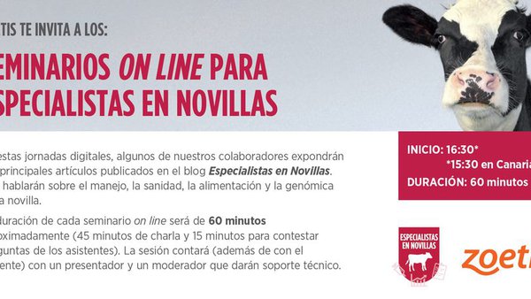 1400 profesionais asisten os seminarios online de Especialistas en Novillas