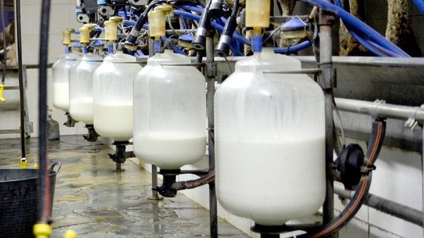 Indicadores del sector lácteo vacuno