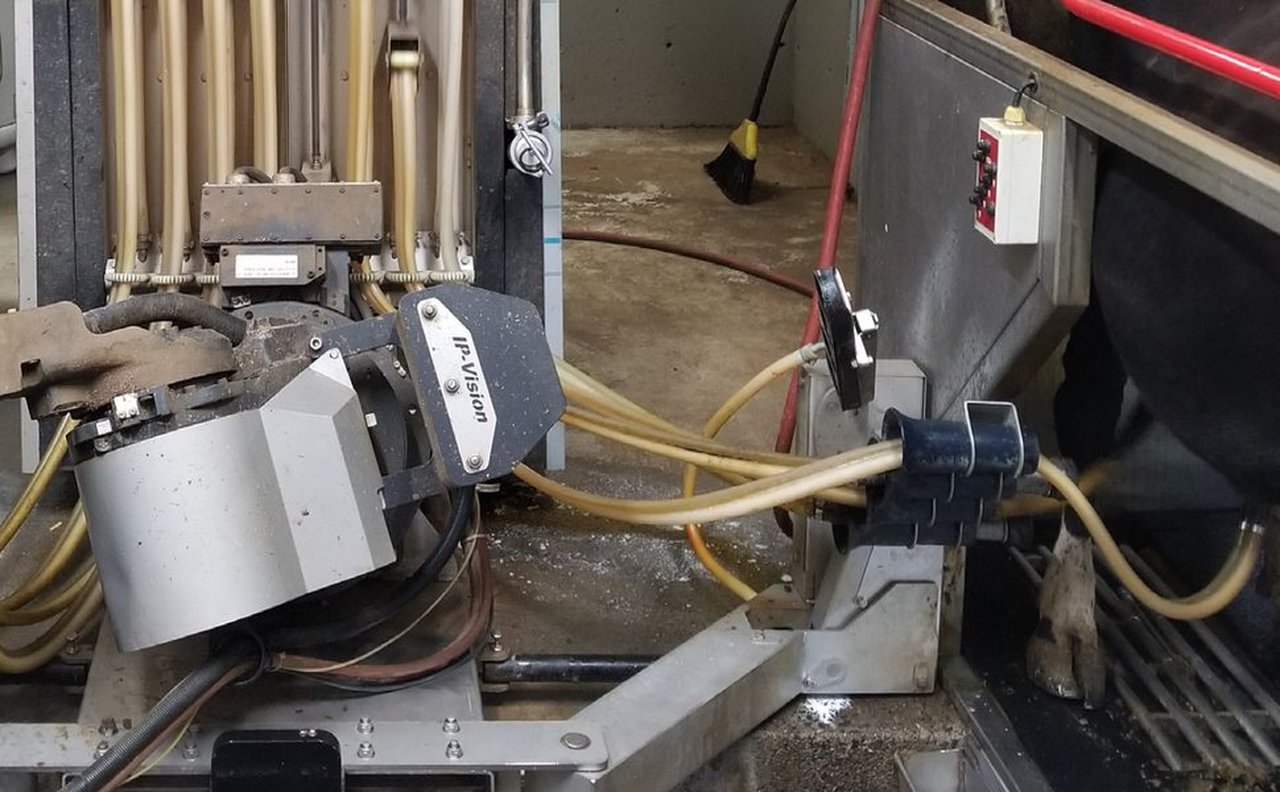 Prevención de cojeras en granjas con ordeño robotizado