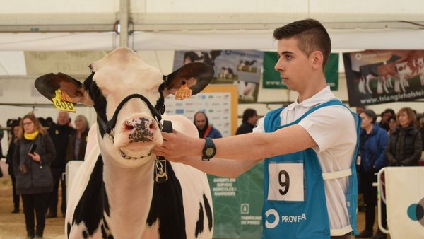 Avelino Souto lidera la nueva directiva del Clube de Xóvenes Gandeiros de Galicia