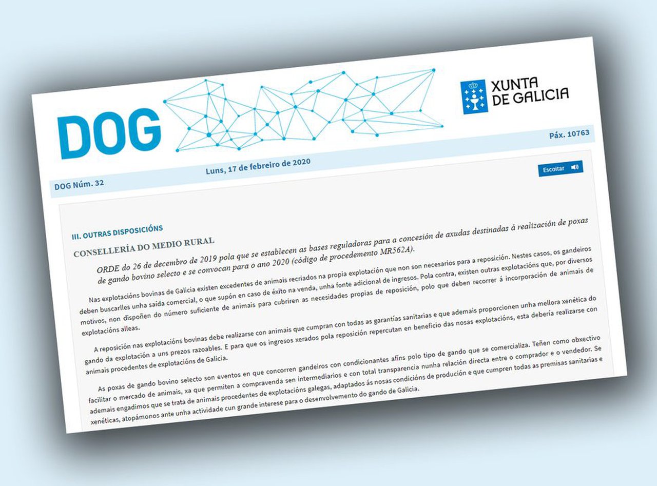 Los ayuntamientos gallegos podrán solicitar ayudas para la realización de subastas de ganado bovino selecto a partir de mañana
