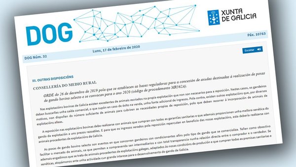 Los ayuntamientos gallegos podrán solicitar ayudas para la realización de subastas de ganado bovino selecto a partir de mañana
