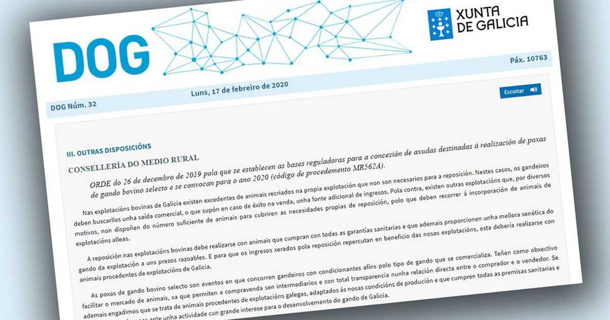 Los ayuntamientos gallegos podrán solicitar ayudas para la realización ...