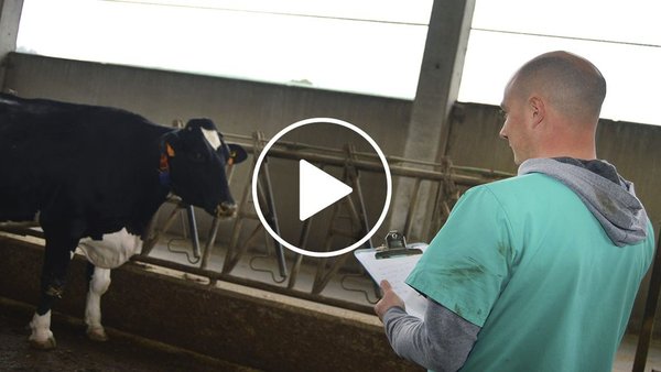 Fin de la barra libre de antibióticos