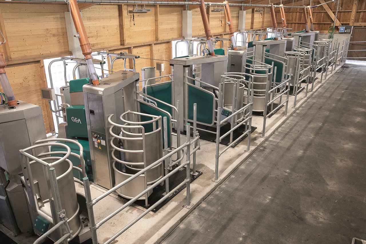 El primer Batch Milking de GEA en Galicia con ocho robots, en camino