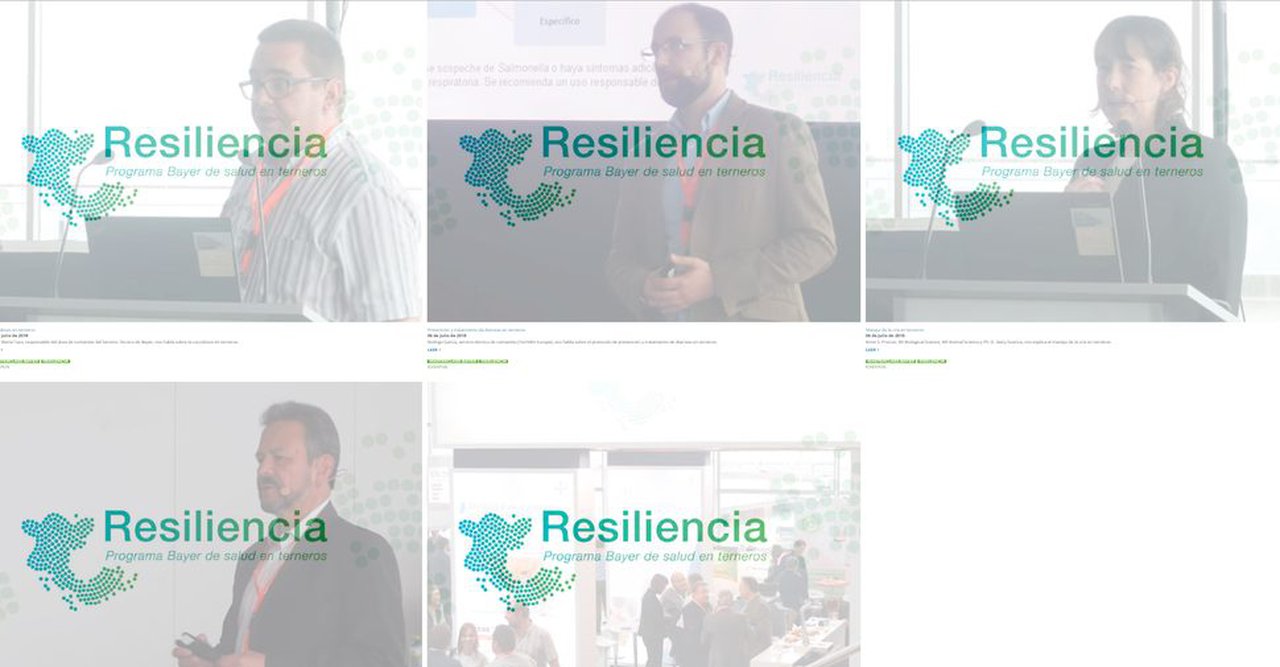 Conferencias Bayer sobre salud de terneros