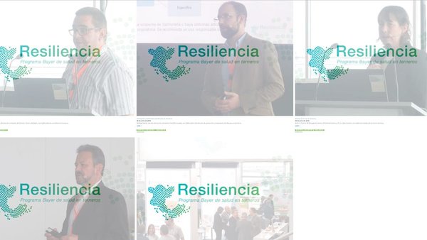 Conferencias Bayer sobre saúde dos xatos