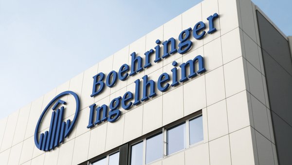 Boehringer Ingelheim lanza unha nova vacina contra a enfermidade respiratoria bovina