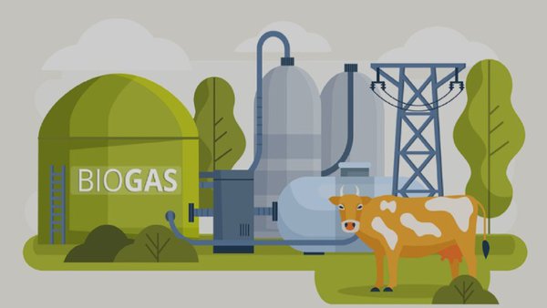 La Agencia Gallega de la Calidad Alimentaria aborda el uso del biometano con dos jornadas en Ordes y Castro de Rei