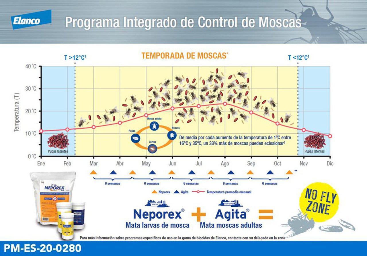 Contra as moscas, xoguemos por adiantado