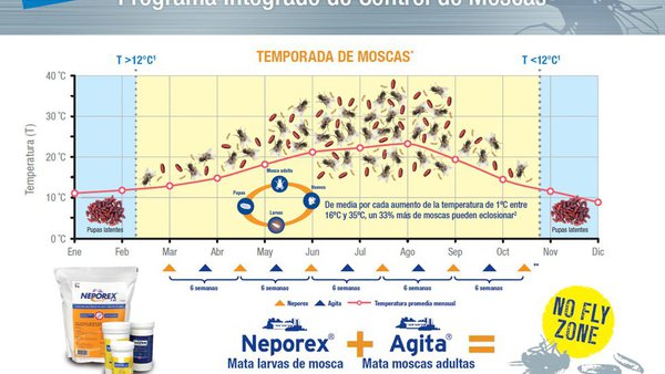 Contra as moscas, xoguemos por adiantado