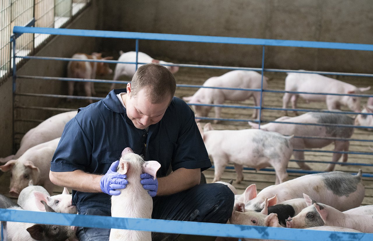 Boehringer Ingelheim destaca a colaboración entre veterinario e médico como factor clave na prevención das zoonoses