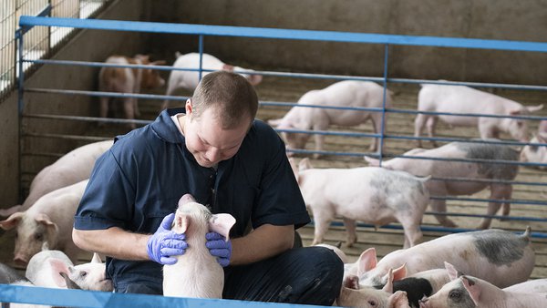 Boehringer Ingelheim destaca a colaboración entre veterinario e médico como factor clave na prevención das zoonoses