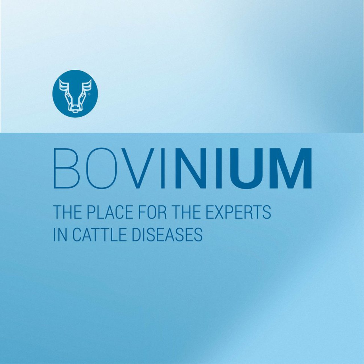 Bovinium aborda o diagnóstico da SRB na súa última actualización