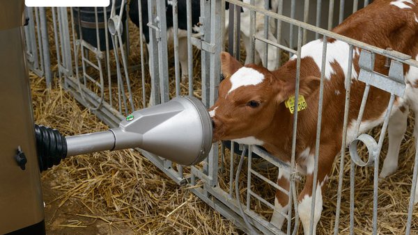 CalfRail CFR100, o novo sistema de DeLaval para a alimentación das xatas