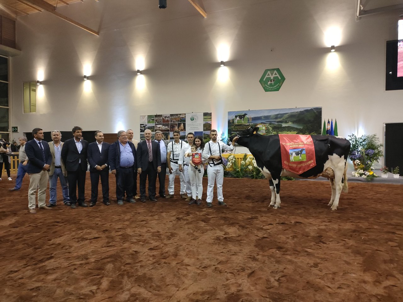 ¡ORP Doorman Natacha se proclama vaca gran campeona de Portugal en Azores!