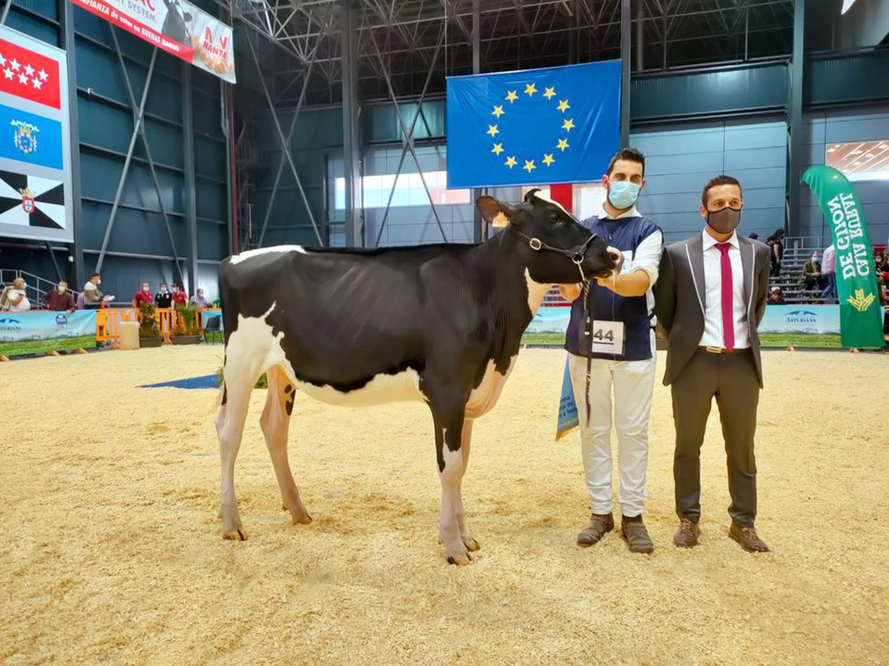 Rey 1014 Moovin Sony ET, la novilla que reina en el concurso nacional
