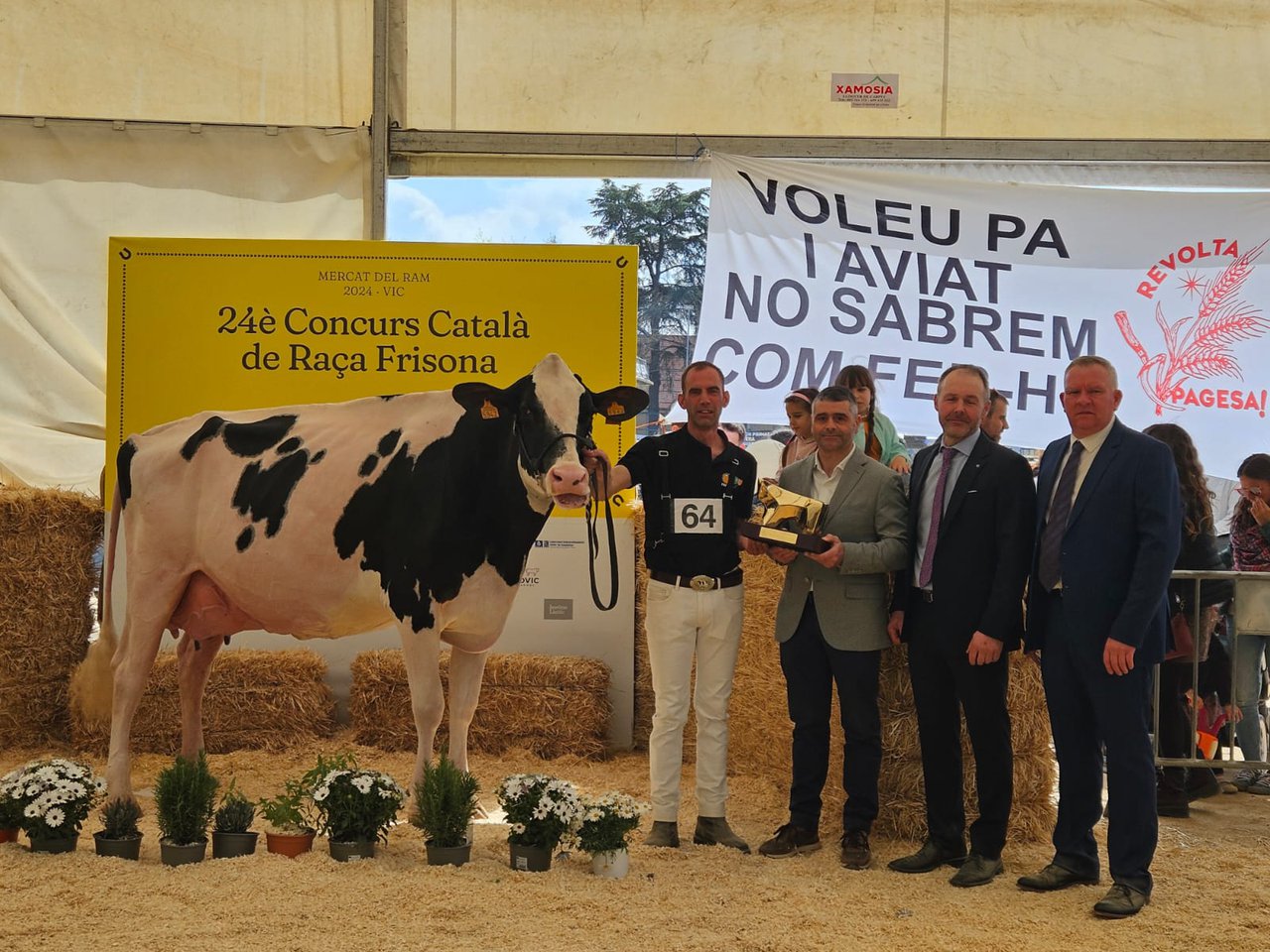 Marquet Paradis Unstopabull elegida vaca gran campeona del regional catalán