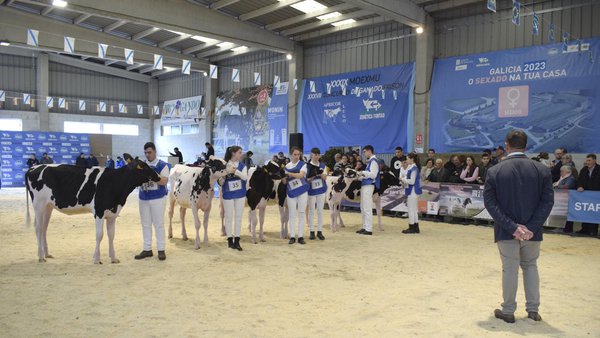 Comienza este fin de semana el Campeonato-Puntuable Club Xóvenes Gandeiros de Galicia 2024