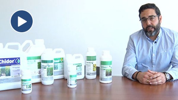 Gama de produtos Kenogard para a campaña do millo 2021