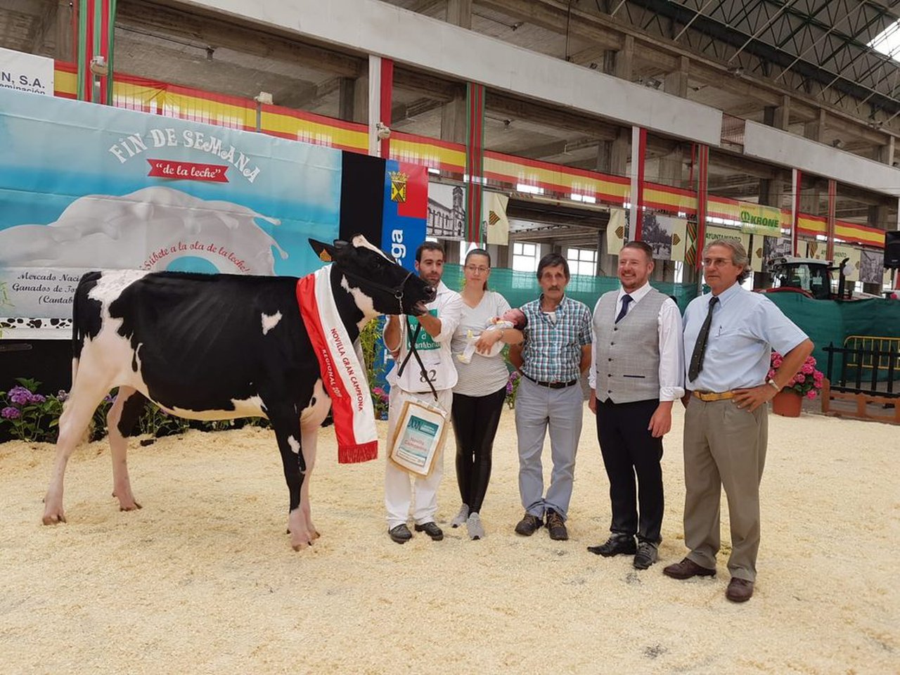 Gloria Brady Albis, novilla gran campeona de Cantabria