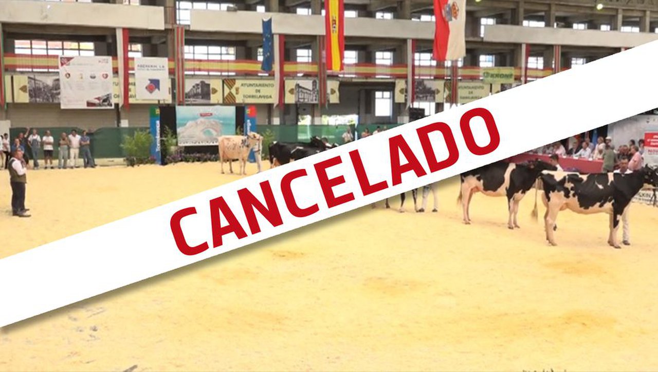 Cancelado el concurso frisón de Cantabria