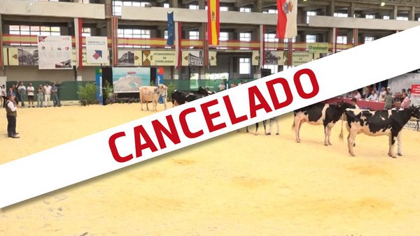 Cancelado el concurso frisón de Cantabria
