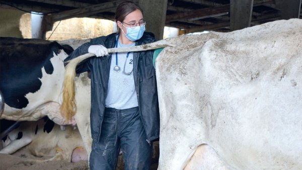 Semen sexado: una oportunidad