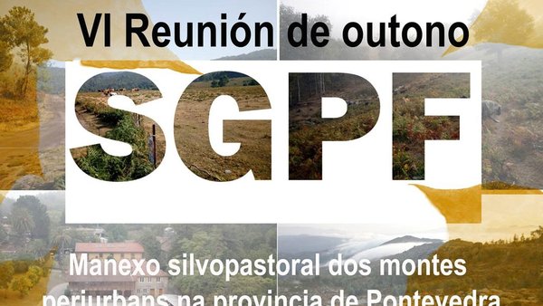 El silvipastoreo en los montes pontevedreses, tema central de la próxima reunión de la SGPF