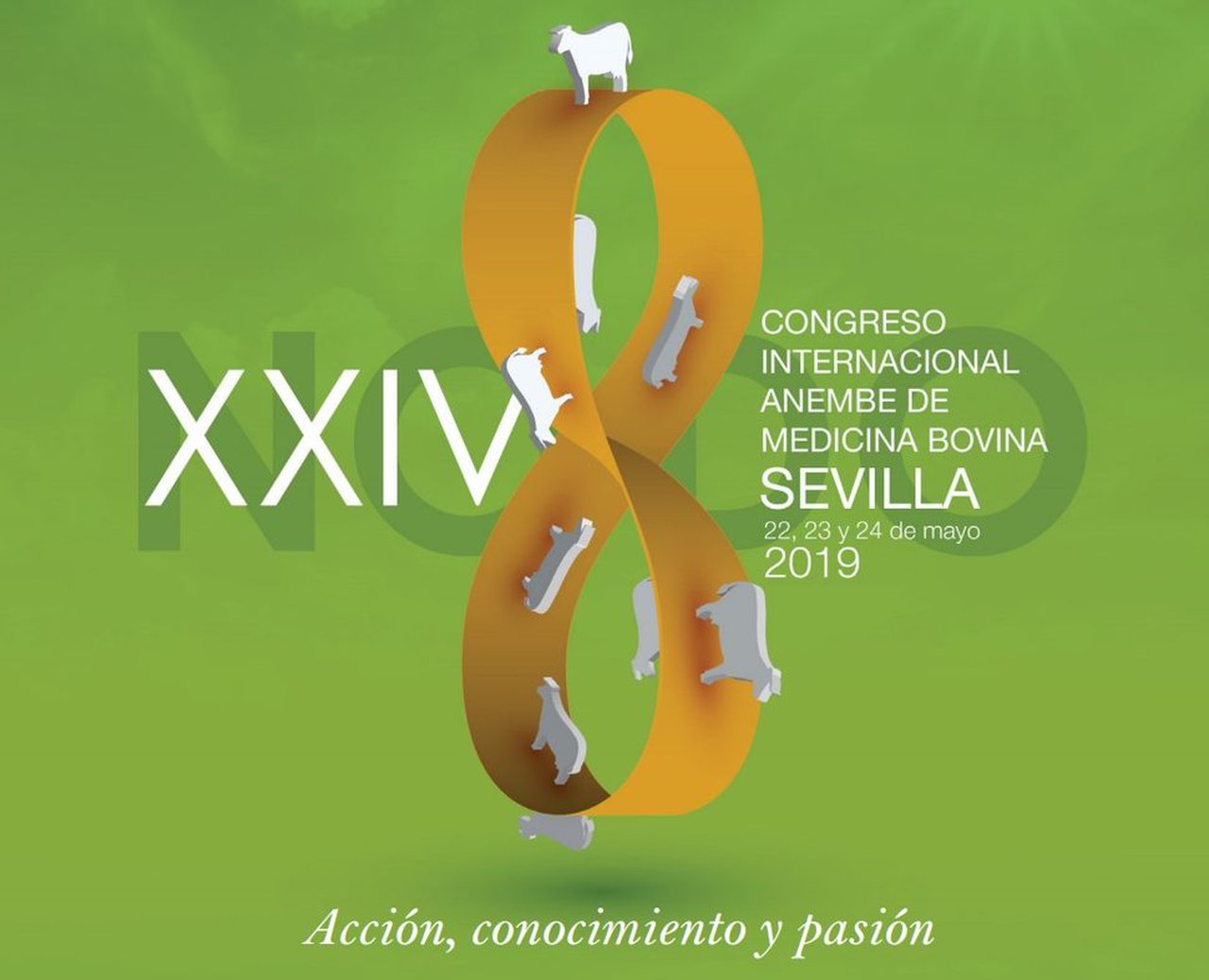 Cuenta atrás para el Congreso Anembe 2019