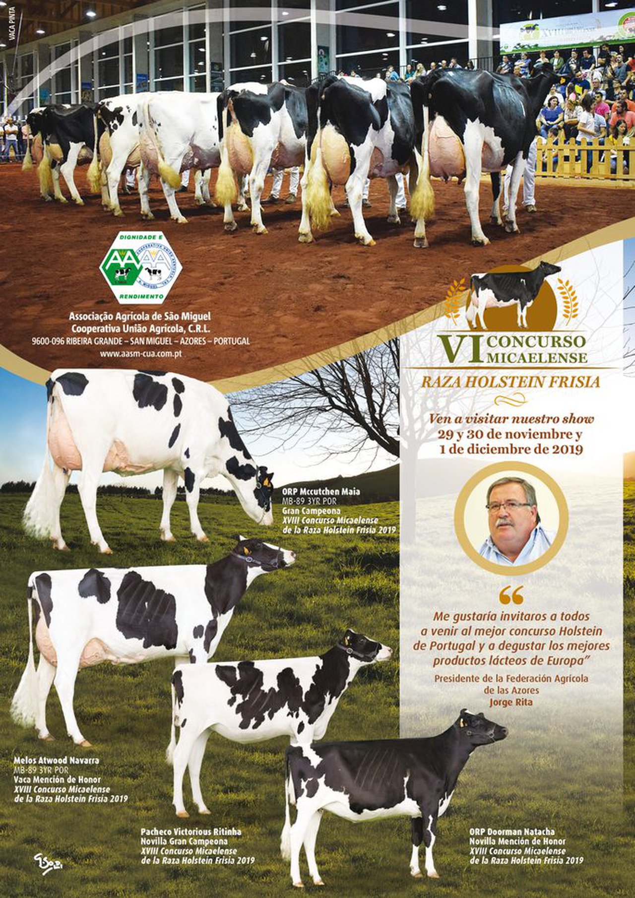 El concurso frisón de otoño en Azores ya tiene fecha