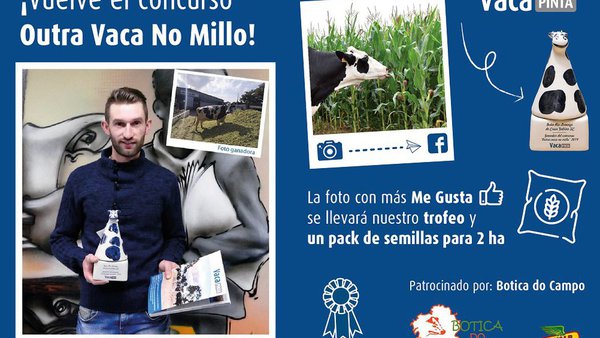 ¡Participa en el certamen de fotografía "Outra Vaca no Millo" 2020 de Vaca Pinta!