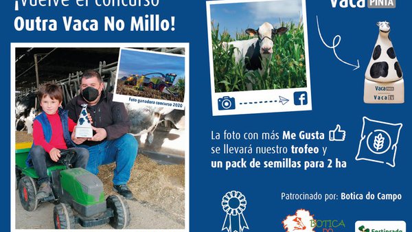 Estamos en busca de vuestra mejor foto de "Outra Vaca no Millo"