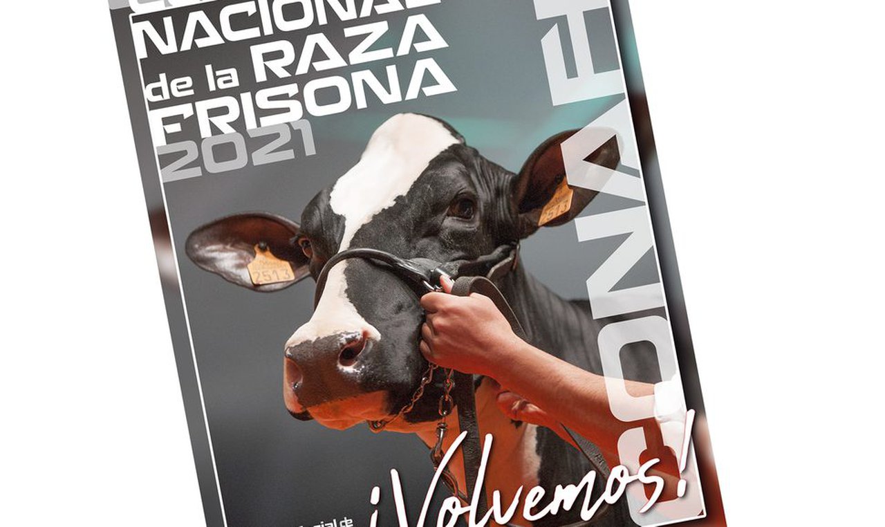 Las frisonas vuelven a las pistas: en septiembre regresa el Concurso Nacional