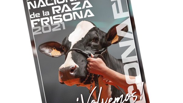 Las frisonas vuelven a las pistas: en septiembre regresa el Concurso Nacional