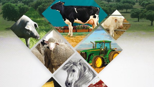 Ya disponible el programa completo de la Feria de Pozoblanco