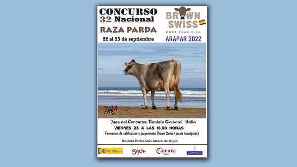 Gijón acoge el Concurso Nacional de Raza Parda el último fin de semana de septiembre