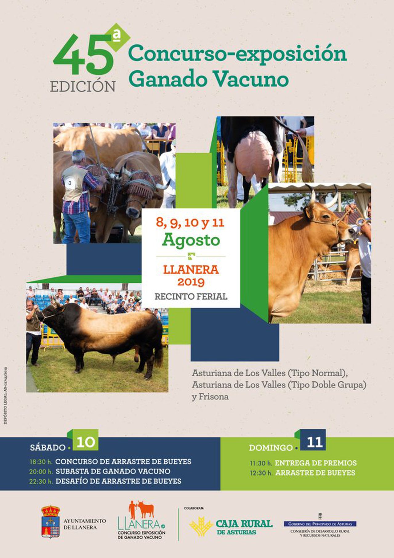 Todo a punto en Llanera para su concurso vacuno