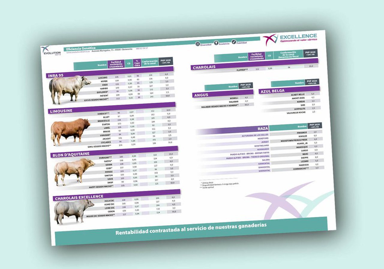 Primeiro catálogo XY Excellence, de Evolution Iberica XY, de cruzamento cárnico para Holstein