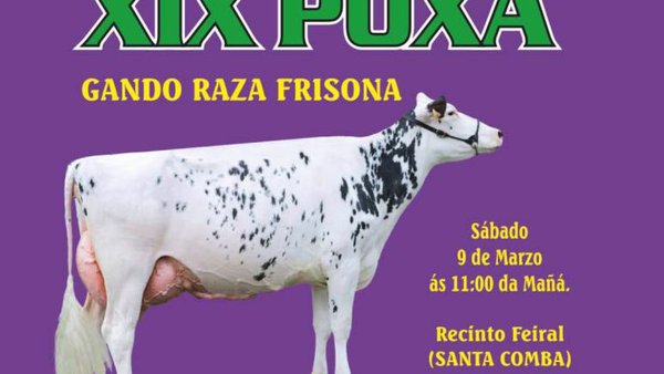Conocemos el catálogo de la subasta de Santa Comba