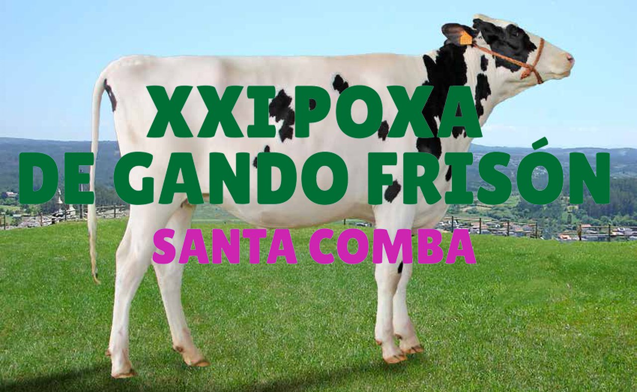 Este domingo, nueva edición de la subasta de Santa Comba