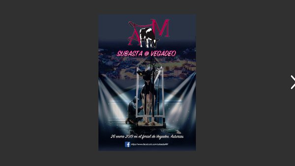 El catálogo de la próxima subasta de Vegadeo, ¡ya on-line!