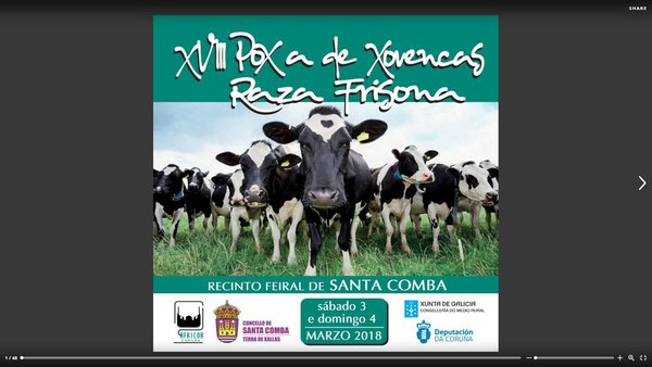 El catálogo de la próxima subasta de Santa Comba, ¡ya on-line!