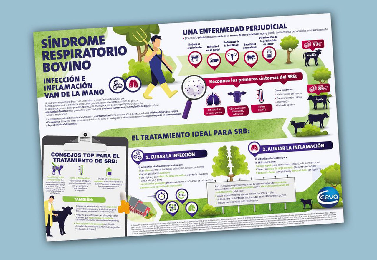 Ceva Salud Animal recorda a importancia do tratamento combinado para loitar contra a SRB