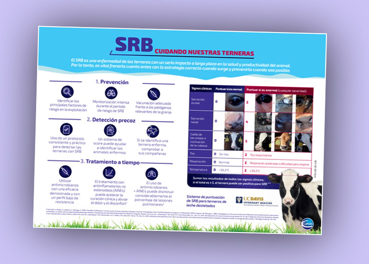 Ceva Salud Animal celebra a Semana mundial de concienciación sobre o uso de antimicrobianos achegando información sobre a SRB