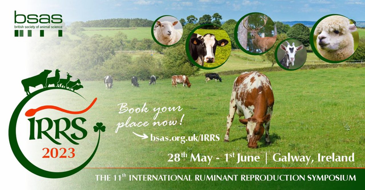 El Simposio Internacional de Reproducción de Rumiantes se celebrará del 25 de mayo al 1 de junio en Irlanda