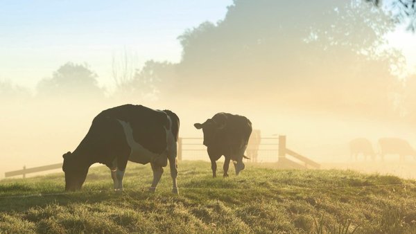 El error de los “equivalentes de CO2”