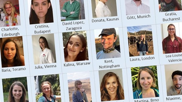 MSD Animal Health y la FVE otorgan 36 becas a estudiantes europeos de veterinaria