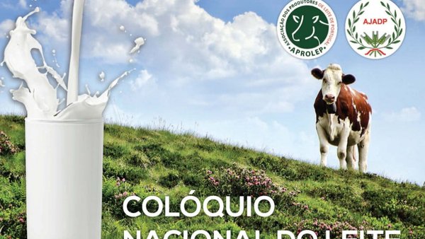 Próximo Coloquio Nacional de la Leche en Vila do Conde